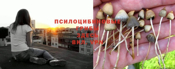 первитин Бронницы
