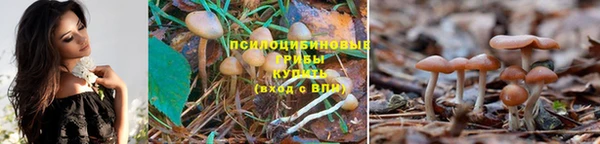 первитин Бронницы