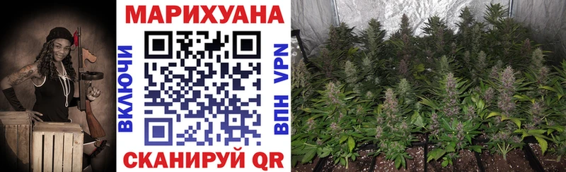 Марихуана Amnesia  Новоузенск 